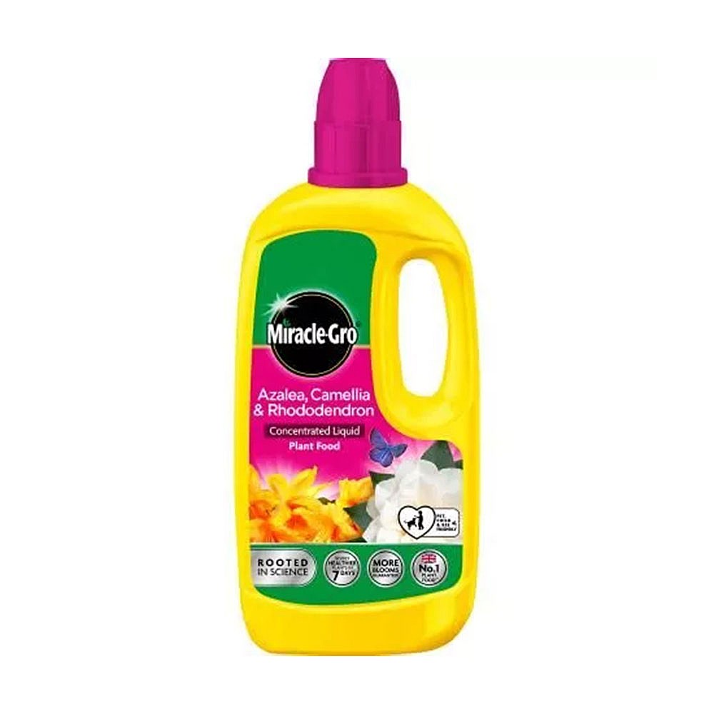 Miracle-Gro Azalea, Camellia & Rhododendron Concentrated Liquid