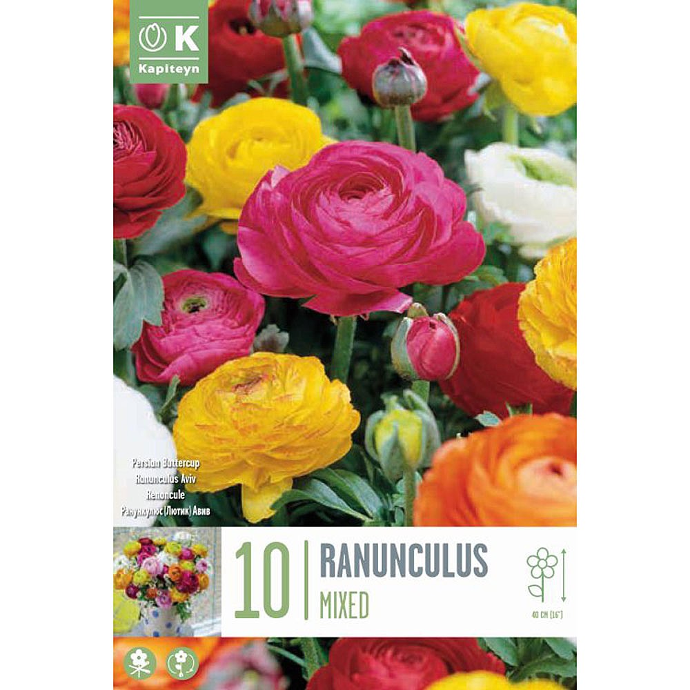 Ranunculus Mixed (10 Bulbs) | Miscellaneous A-Z Bulbs | Webbs Garden Centre