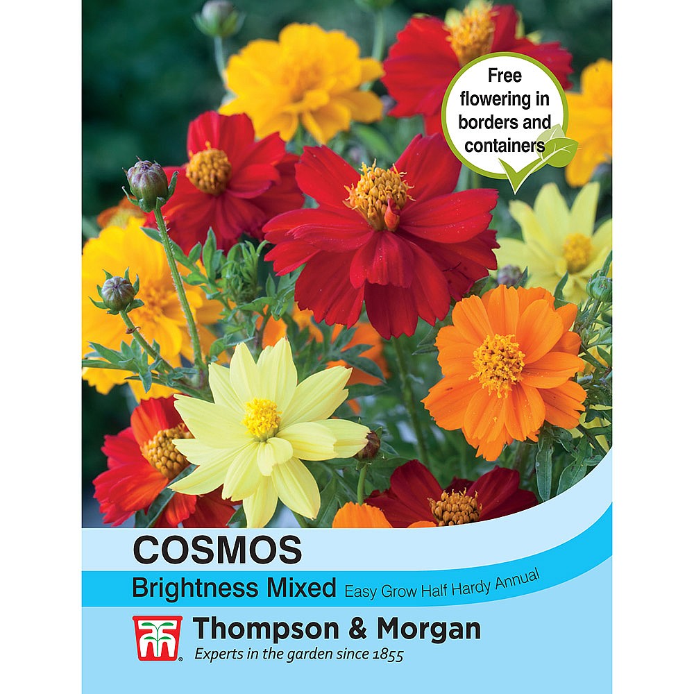 Thompson & Morgan Cosmos Brightness Mixed | Cosmos Seeds | Webbs