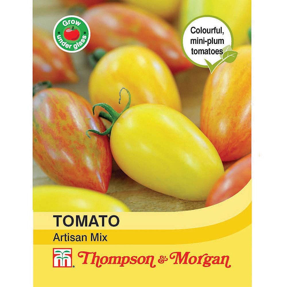 Midnight Sun Tomato - Artisan Seeds