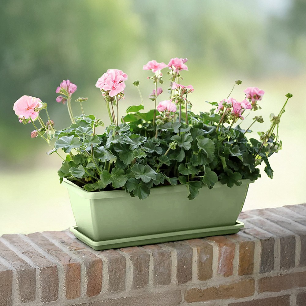 Elho Barcelona 70cm Trough (Various Colours) | Trough Planters | Webbs  Garden Centres