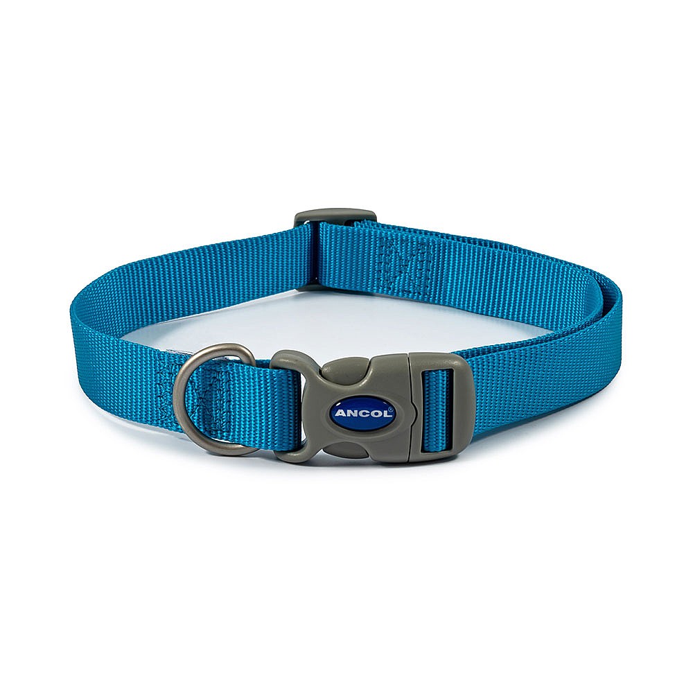 Ancol dog collar outlet