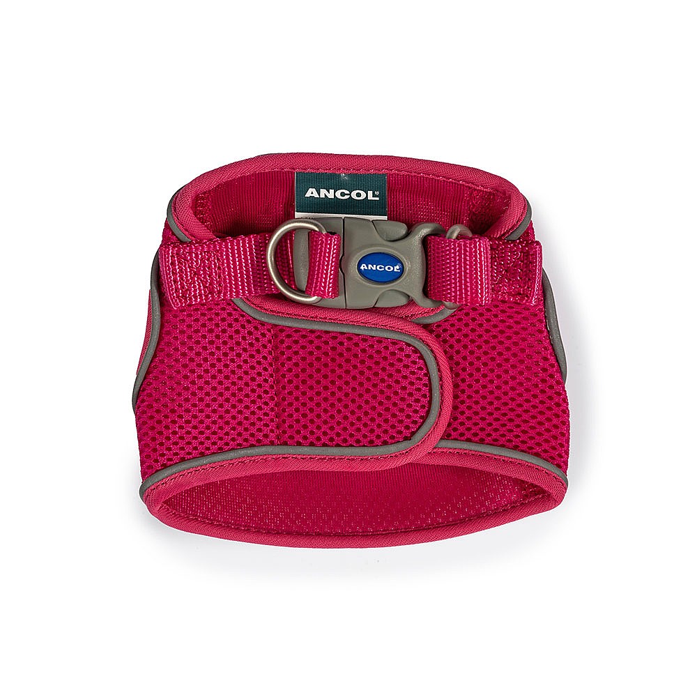 Ancol dog harness online