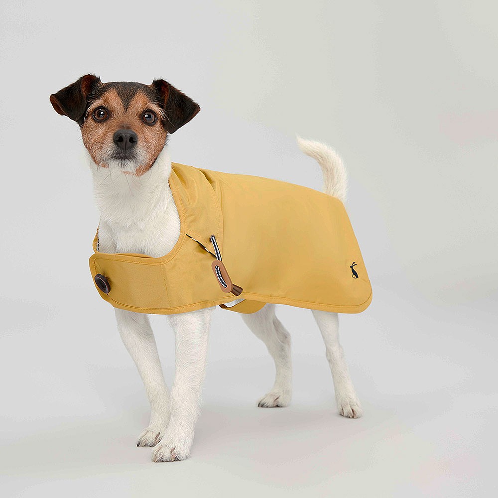 Joules Rain Jacket Antique Gold Pet Coat Various Sizes Dog Coats Clothing Webbs Garden Centres