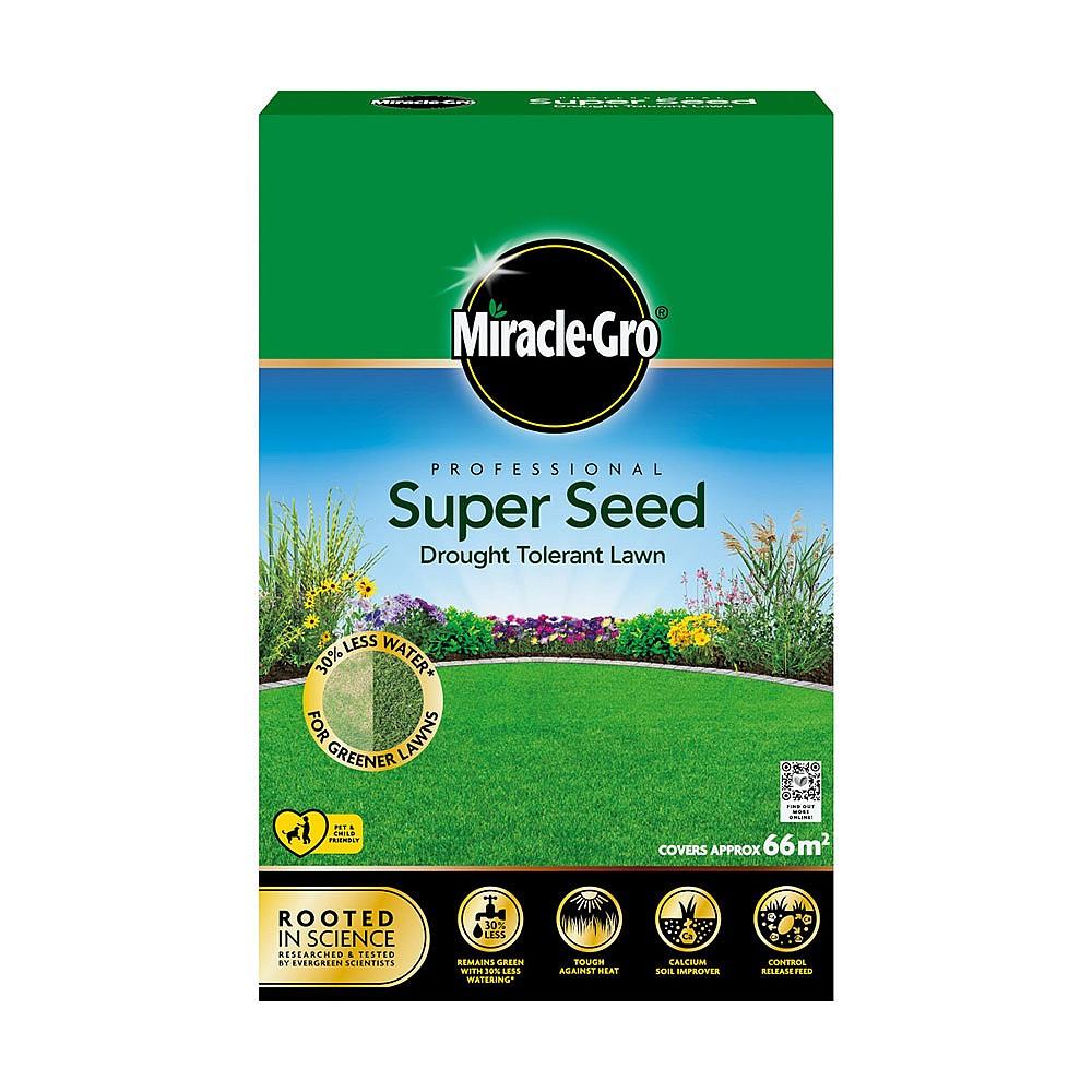 Seed and feed lawn deals