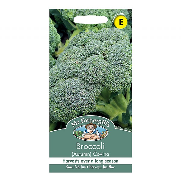 Mr Fothergills Broccoli (Autumn)  Covina Seeds
