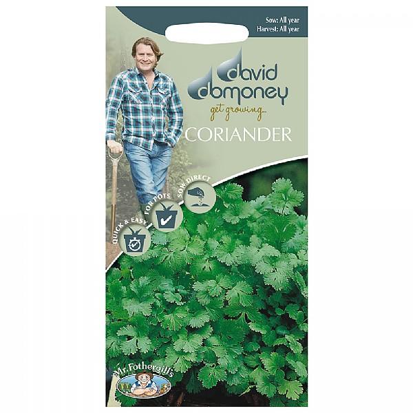 David Domoney Coriander Cilantro Seeds