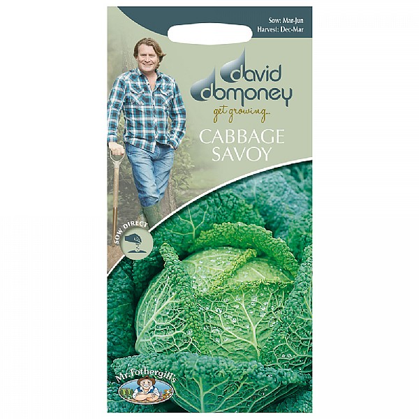 David Domoney Savoy Ormskirk Cabbage Seeds