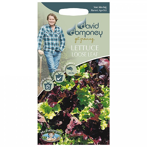 David Domoney Red & Green Loose Leaf Lettuce Seeds