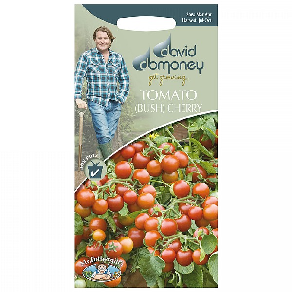 David Domoney Cherry Falls Tomato Seeds