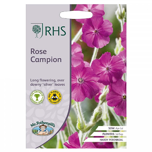 RHS Rose Campion Seeds