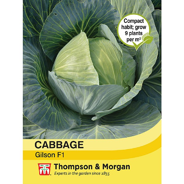 Thompson & Morgan Cabbage Gilson