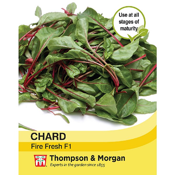 Thompson & Morgan Chard Fire Fresh Seeds