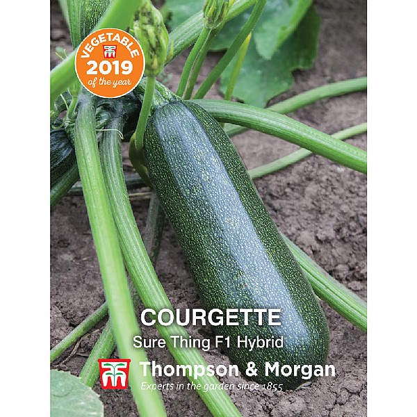 Thompson & Morgan Courgette Sure Thing
