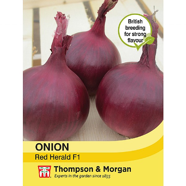 Thompson & Morgan Onion Red Herald