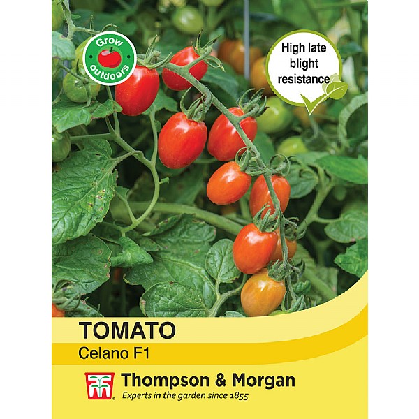 Thompson & Morgan Tomato Celano Seeds