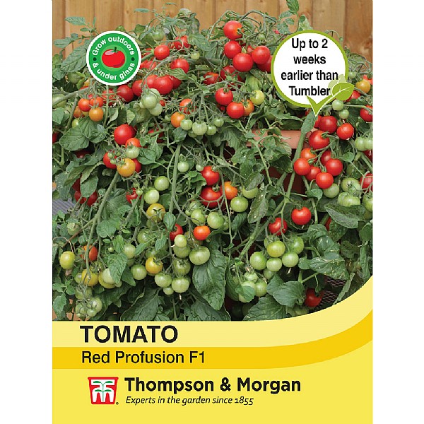 Thompson & Morgan Tomato Red Profusion Seeds