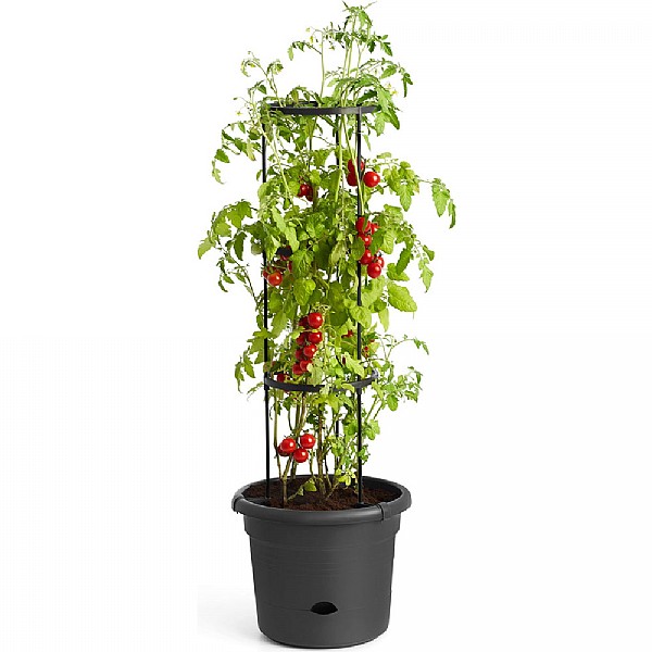 Elho Green Basics 33cm Tomato Pot - Living Black