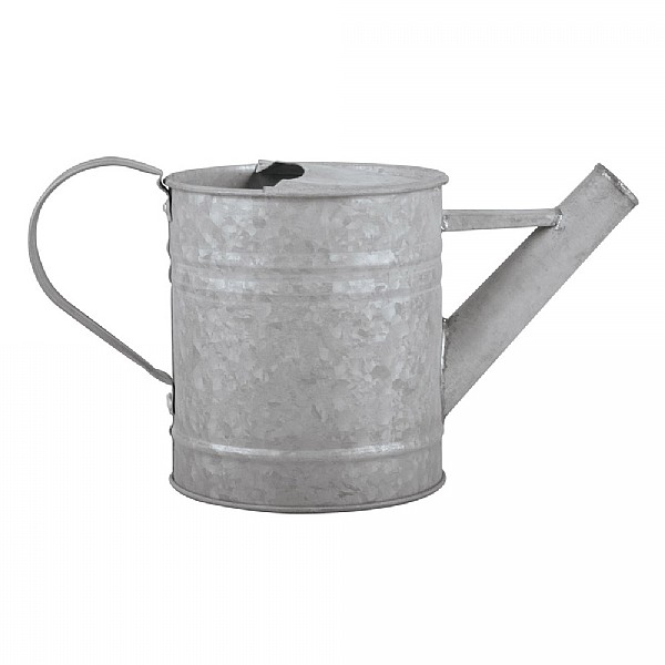 Fallen Fruits Old Zinc Watering Can 0.8L