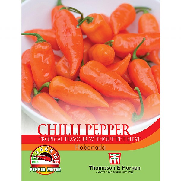 Thompson & Morgan Pepper Chilli Habanada