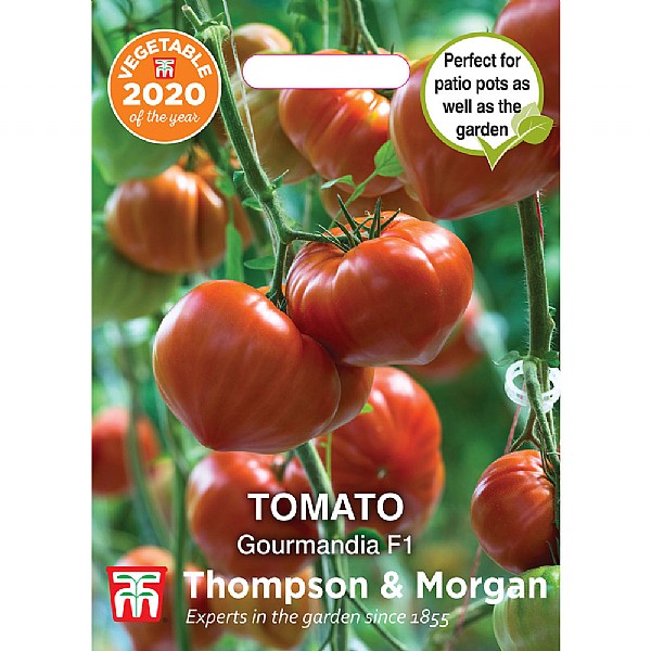Thompson & Morgan Tomato Gourmandia F1 Hybrid Seeds