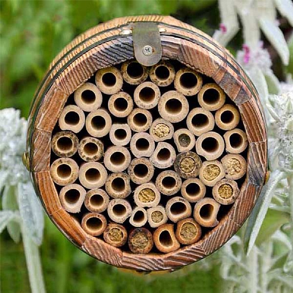 Wildlife World Bee Barrel