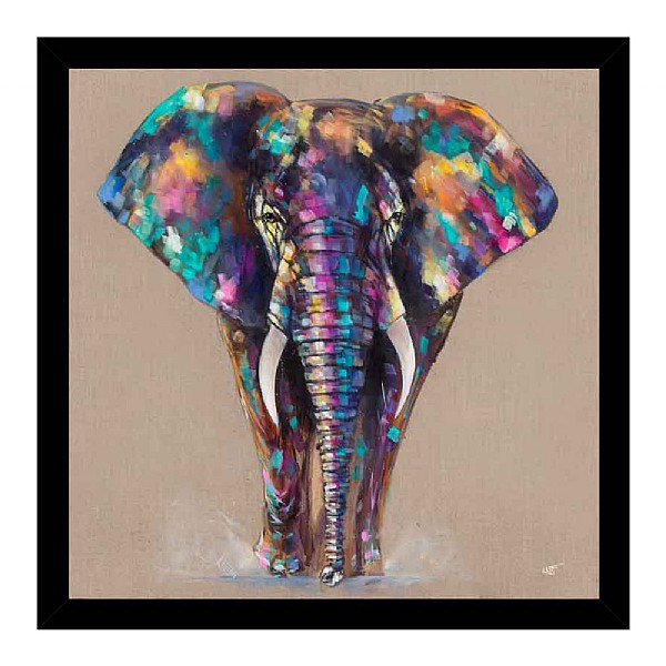 'Little Hugo' Elephant Picture 43.5x43.5cm