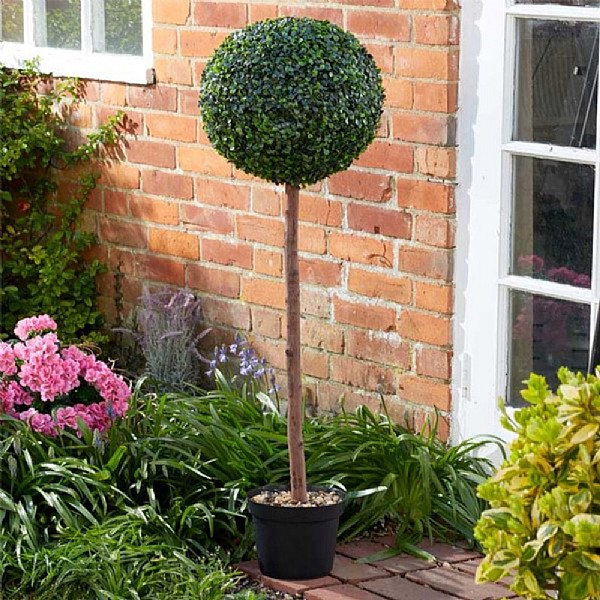 Uno Topiary Tree 120cm