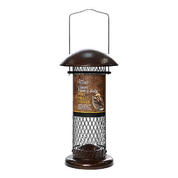 Nuthatch | Lady, the suet is just about gone and what are yo Nuthatch | Lady, the suet is just about gone and what are yo