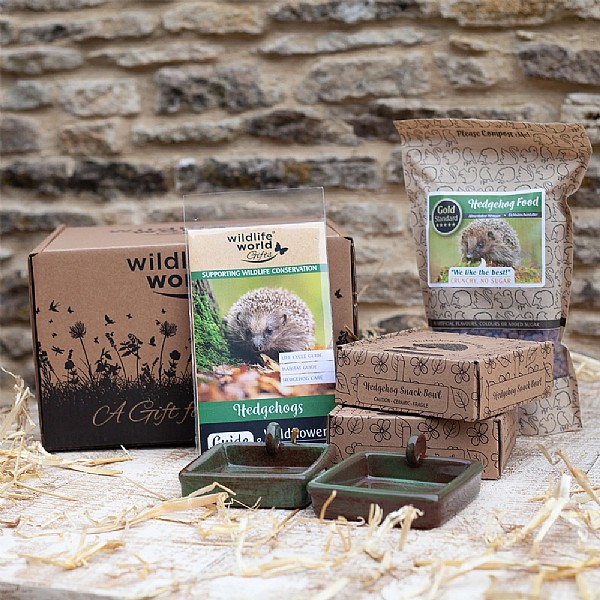 Wildlife World For the love of Hedgehogs Gift Pack