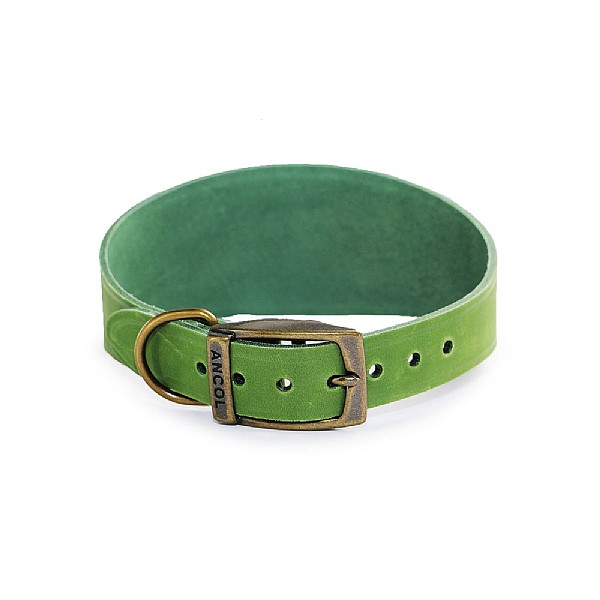 Ancol Timberwolf Greyhound Leather Collar 34-43cm Green