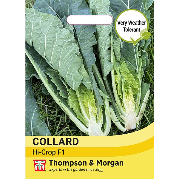 Thompson & Morgan Collard Hi-Crop F1 Seeds