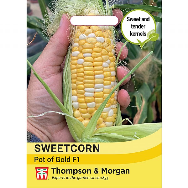 Thompson & Morgan Sweetcorn Pot of Gold F1 Seeds
