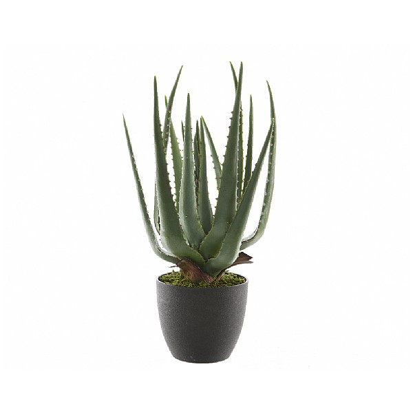 Aloe Vera Potted Artificial Plant 67cm