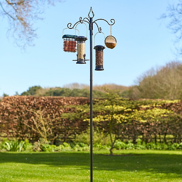 Tom Chambers Banquet Bird Feeding Station