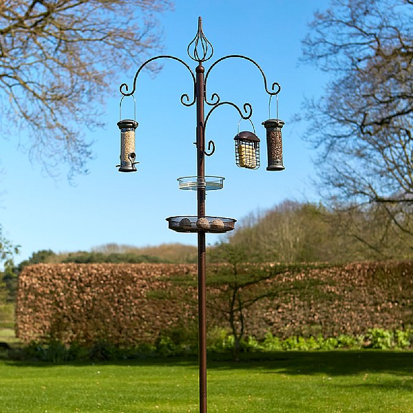 Tom Chambers Ascot Bird Feeding Station