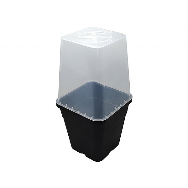 Garland Square Cloche Cover - 25cm