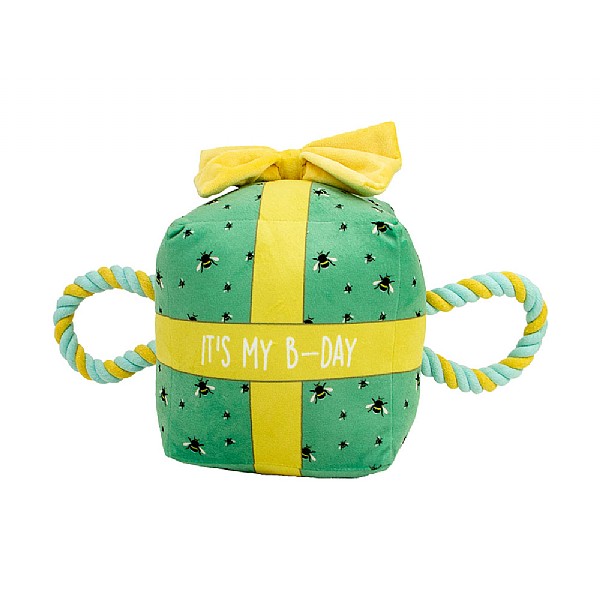 Ancol Bee Day Present Dog Toy (Small)