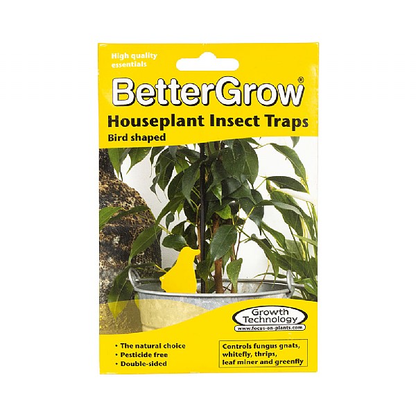 BetterGrow Houseplant Insect Traps (Pack of 15)