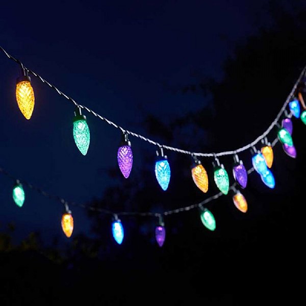 Smart Garden MultiPower Pine Cone String Lights 30 LEDs