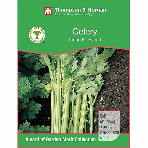 Thompson & Morgan Award of Garden Merit Celery Tango F1 Hybrid