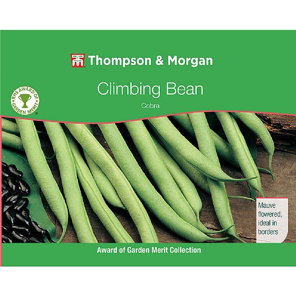 Climbing Bean Cobra