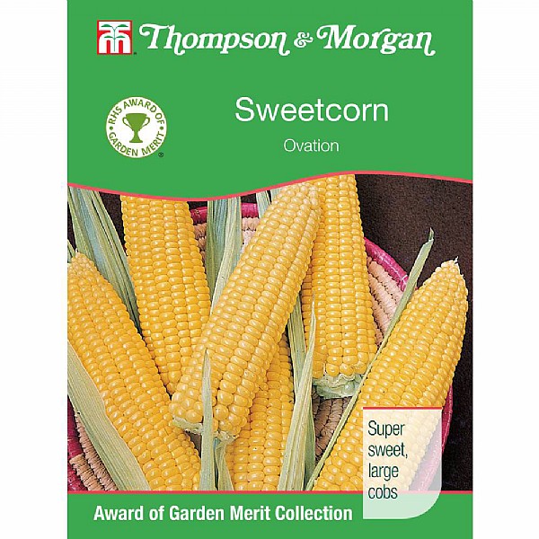 Thompson & Morgan Award of Garden Merit Sweet Corn Ovation F1 Hybrid