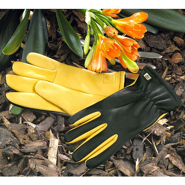 Gold Leaf Ladies Dry Touch Gloves