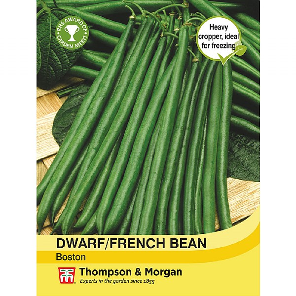 Dwarf Bean Boston - 100 Seeds