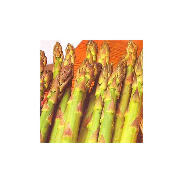 Asparagus Martha Washington - 50 Seeds