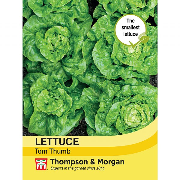 Lettuce Tom Thumb - 1350 Seeds