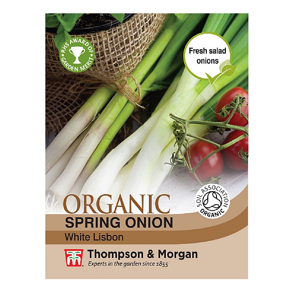 Spring Onion White Lisbon - 500 Seeds