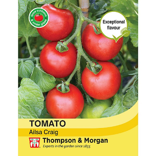 Tomato Ailsa Craig - Packet of 75 Seeds