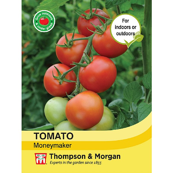 Tomato Moneymaker - Packet of 75 Seeds